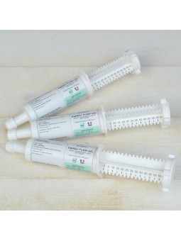 Energie Flash  Seringue 60 ml