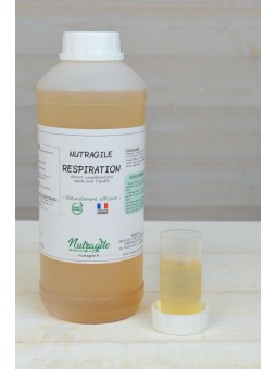 Respiration  Liquide