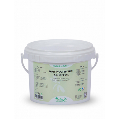 Harpagophytum