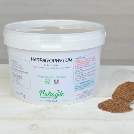 Harpagophytum Poudre