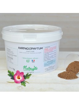 Harpagophytum Poudre