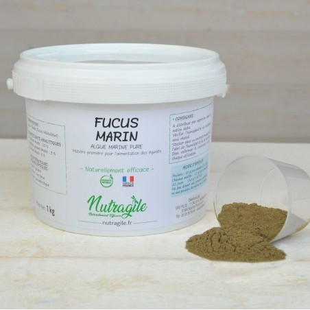 Fucus Marin Poudre