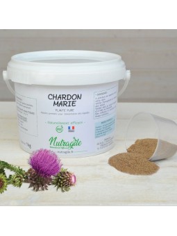 Chardon Marie Poudre