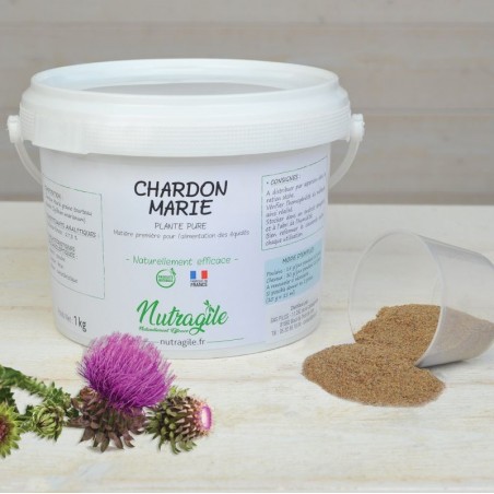 Chardon Marie Poudre