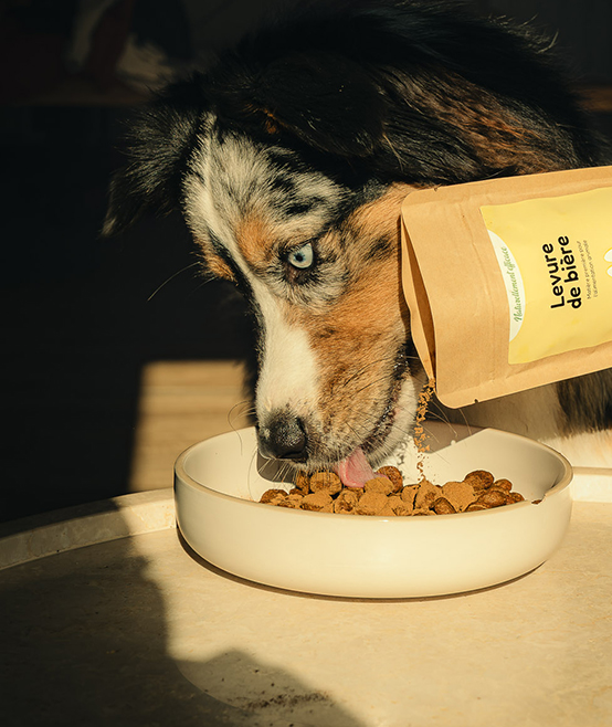 Engagement écologique Nutragile