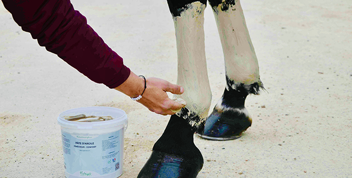 Retrait en magasin Nutragile